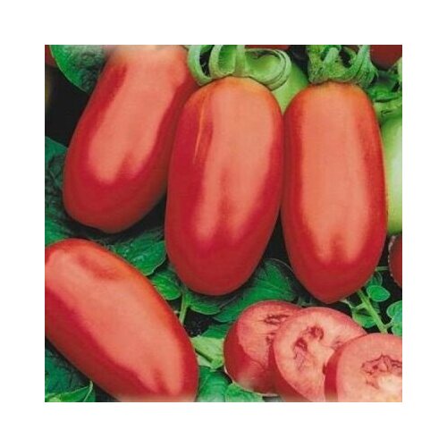 ������ ������ ������ ����� ������ 20�� ��� ������ (����time) ����