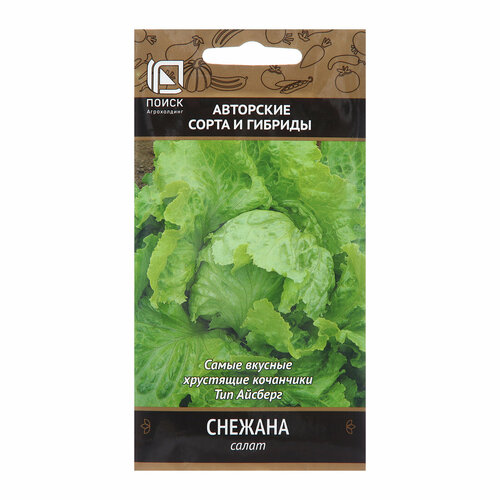 ������ ������ ������ ����� ������� �������� 1� (�����) ����� ����