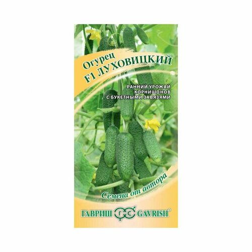 ������ ������ ������ ������ ������ �� ������ ������ ���������� F1 10 ��. ����