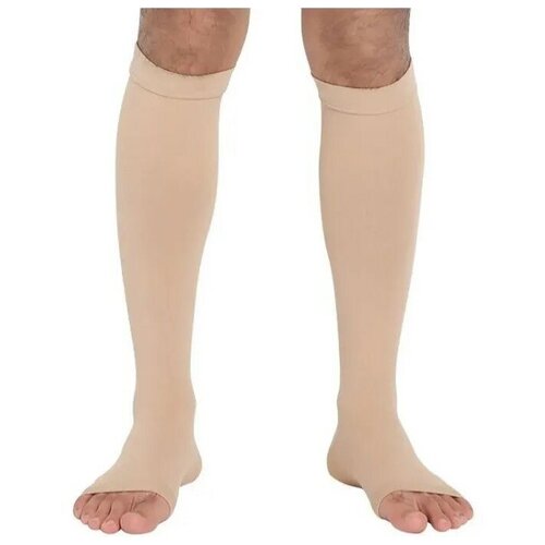 ������ ������ ������ �������������� ������� Ergoforma 2 ������ ���������� � �������� ������, 322 (����:�������, ������:2) ����