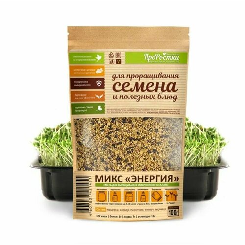 ������ ������ ���� ����� 