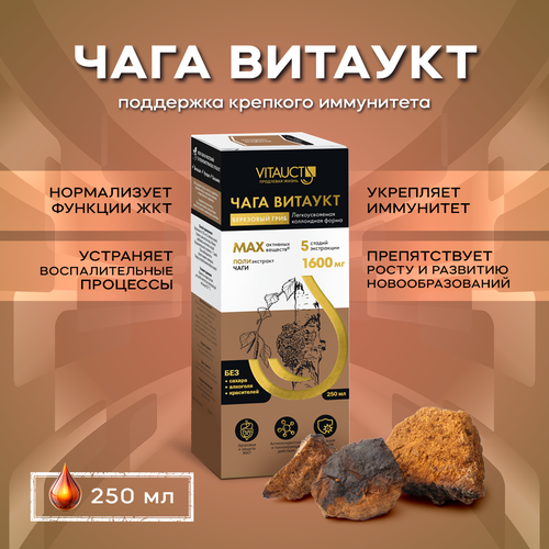 ������ ������ ���� ������� / �������� ���� ����