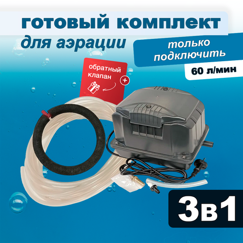 ������ ������ �������� ������� ��� ����� � �����, ���������� + ������� + �����, 60 �/��� ����