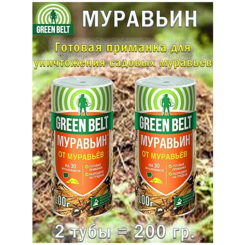 ������ ������ �������� �� �������� �������� � ���� 100 �, 2 �������� ����