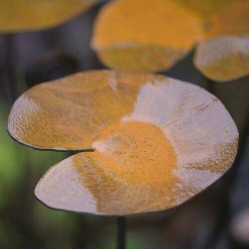 ������ ������ ����� ��� ������ ��� �������� ����� ����