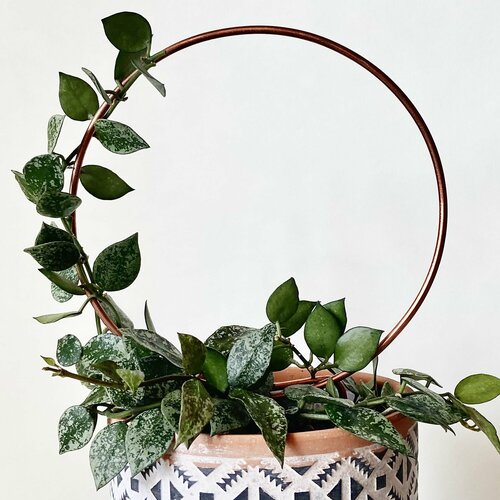 ������ ������ ����� ��� ��������� �������� �����, ������� 15 �� ����