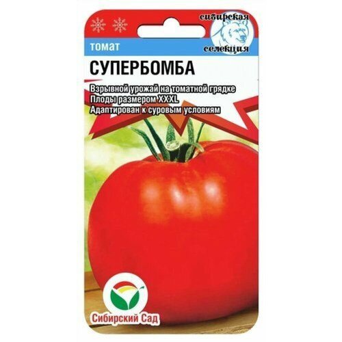 ������ ������ ������ ����� ���������� 20�� ��� (��������� ���) ����