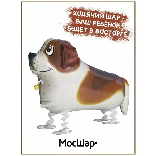 ������ ������ ��������� ��� ������� ������ ������ ����