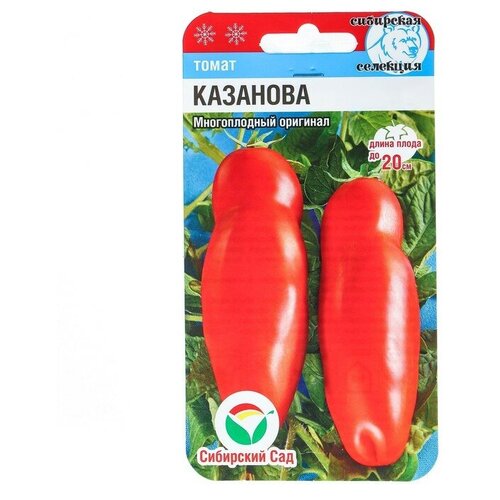 ������ ������ ����� ��������, ������ ��������� ��� 20�� ����