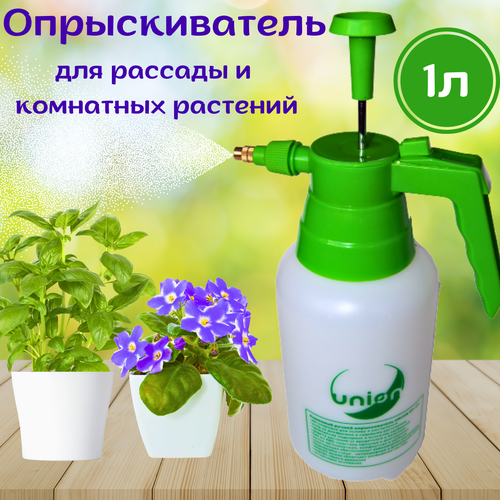 ������ ������ ������������� �������� ������ 1 ���� ����