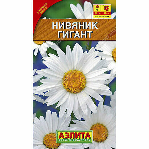 ������ ������ ������ �������� ���������������� 