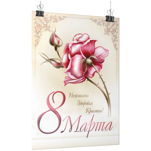 ������ ������ ������ �� 8 ����� / �-3 (30x42 ��.) ����