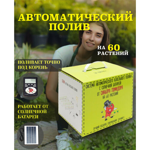 ������ ������ �������������� ������� ������ �� ��������� ������� ����