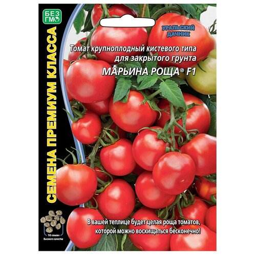 ������ ������ ������ ��������� ������ ������� ����� ������� ���� F1 10 ��. ����