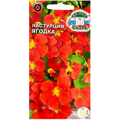 ������ ������ ������ ��������� ����� ������ 1 � ����