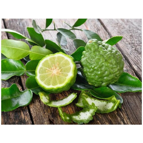 ������ ������ ������ ����� ���� 3�� (�������� ����) ����