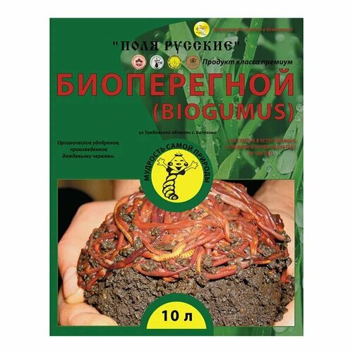 ������ ������ ��������� �������� ���� ������� 10 � ����