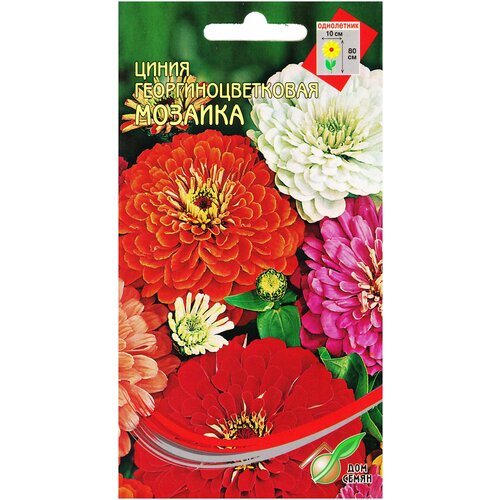 ������ ������ ������ ����������������� ������� �����, 37 ����� ����