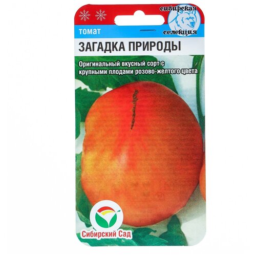 ������ ������ ������� ������� 20�� ����� (��� ���) ����