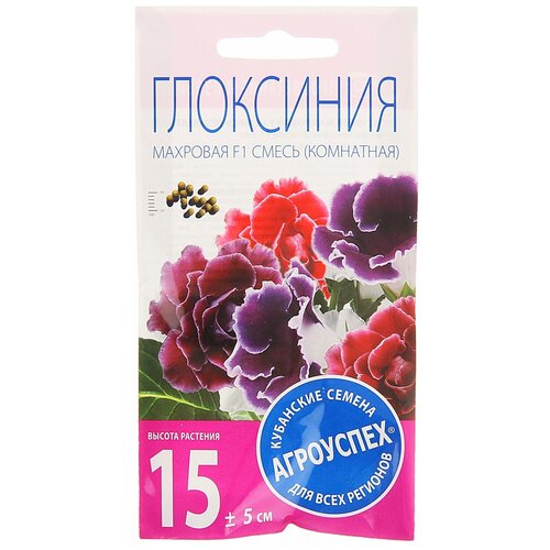 ������ ������ ������ ��������� 