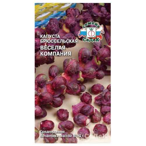 ������ ������ ������� ������������ 