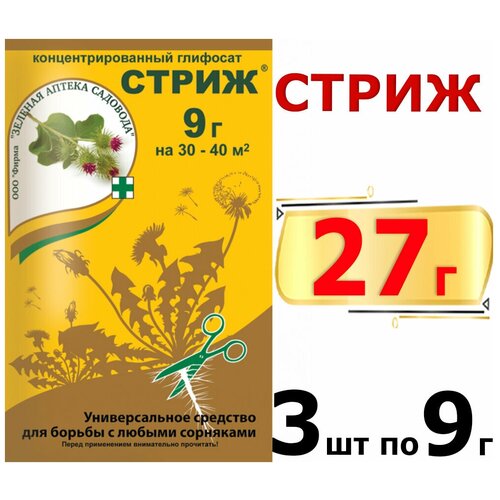 ������ ������ �����. �������� �� �������� ������� ������ �������� 