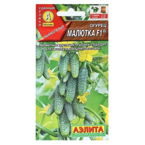 ������ ������ ������ ��������� ������ ������ �������, F1, 10 �� ����