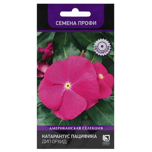 ������ ������ ������ ����� ���������� ��������  ��� �����, 10 ��, 2 ��. ����