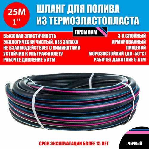 ������ ������ ����� ��� ������ ��� 1