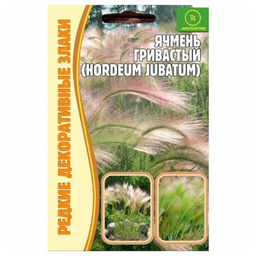 ������ ������ ������ ������ ��������� (Hordeum jubatum) (0,1 �) ����