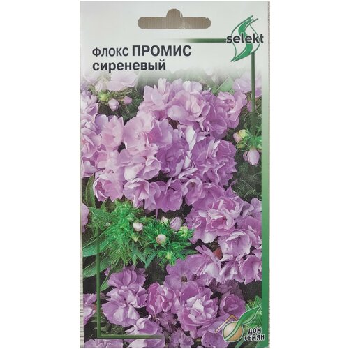 ������ ������ ����� ������, ���������, 9 �� ����� ����