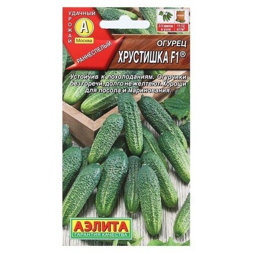 ������ ������ ������. ������ 