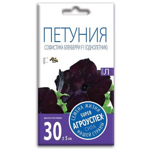 ������ ������ ������ ��������� ������� ��������� ��������� F1, 5 ��. ����