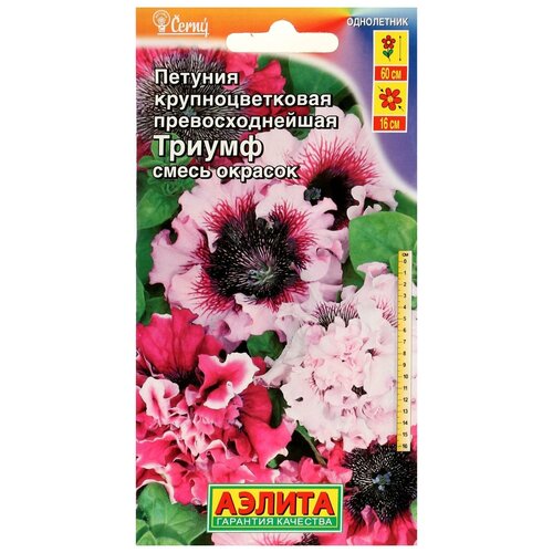 ������ ������ ������ ��������� ������ ������� ������ ���������������, ����� ������� 10 �� ����