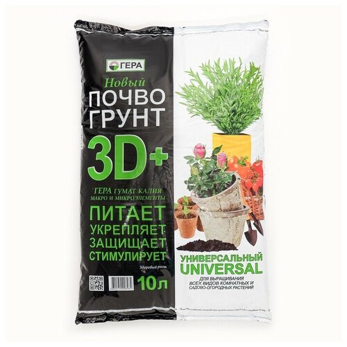 ������ ������ ���������� 3D+ �������������, 10 � ����