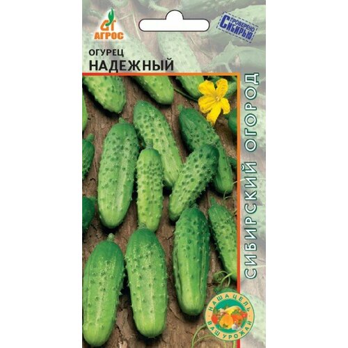 ������ ������ ������ ������ �������� 10�� �� ������ (�����) ����