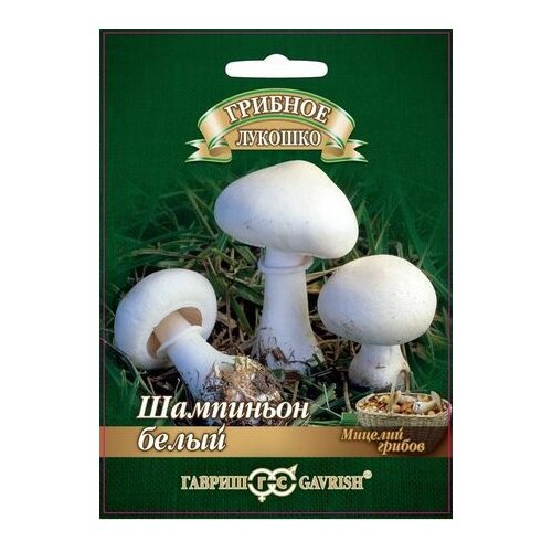 ������ ������ ������� ������ ������ ��������� ����� �� �������� ��������� 15 �� ����