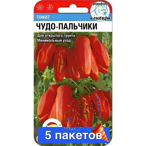 ������ ������ ����� ����-�������� 5 ������� ����