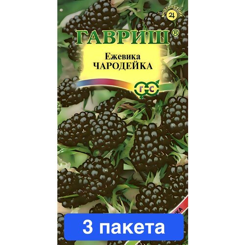 ������ ������ ������ ������ ������ 