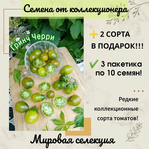 ������ ������ ����� ���� ����� �����, ������� ��������, ������������� ���� ����