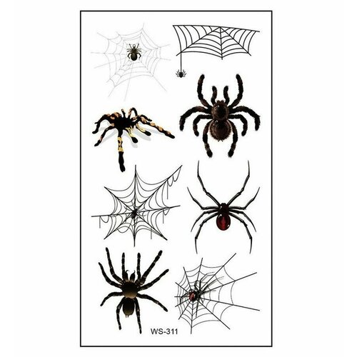 ������ ������ ���������� ���� ��������� ����� �������� ����