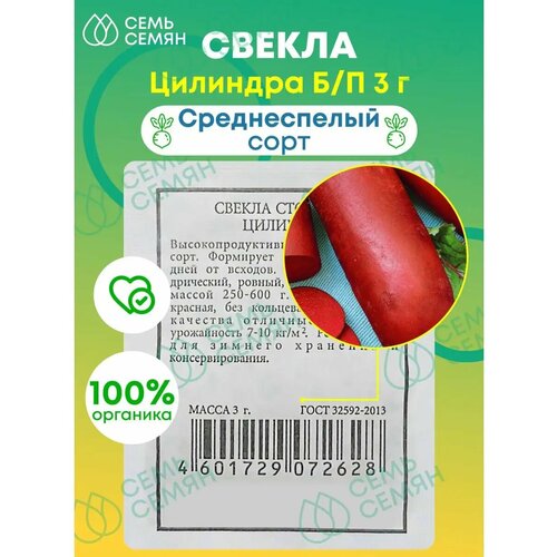 ������ ������ ������. ������ 