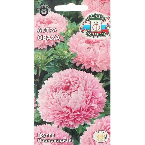 ������ ������ ������ ������ ����� 