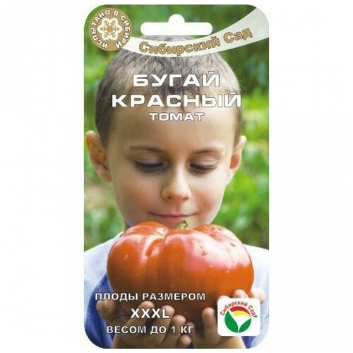 ������ ������ ����� 