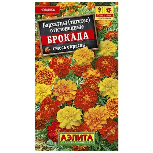 ������ ������ ������. �������� 