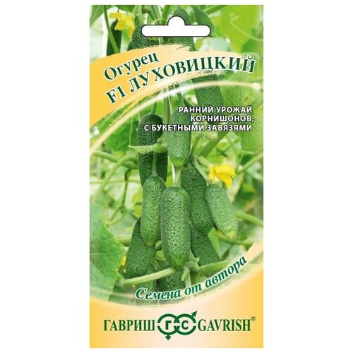 ������ ������ ������ ���������� F1 (10 �����), 2 ������ ����