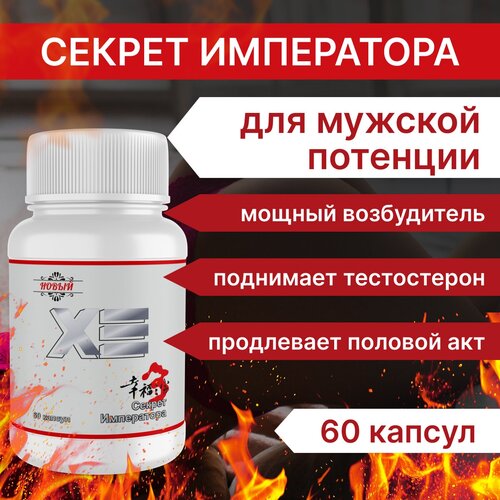 ������ ������ ������� ����������� ����������������� 