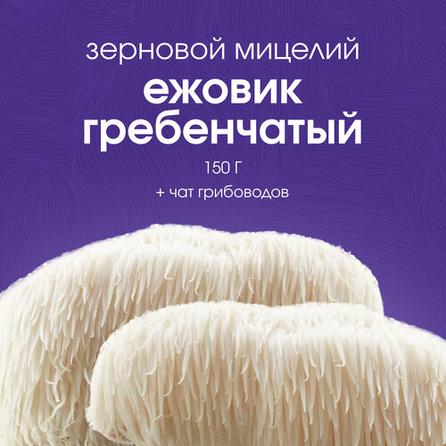 ������ ������ ������� ������� ������������. ��������. ������ ������ ����