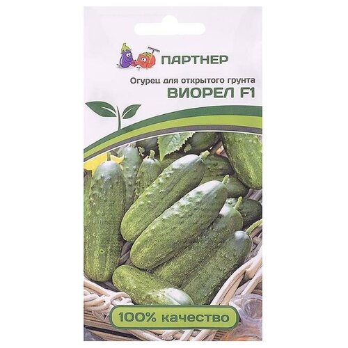 ������ ������ ������ ������ 