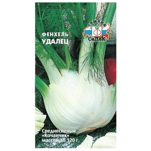 ������ ������ ������ ������� ����� ������ ����